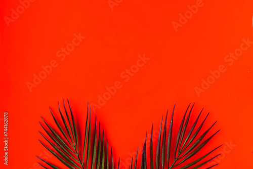 Palm tree branches on bright red background. Minimal concept. Copy space