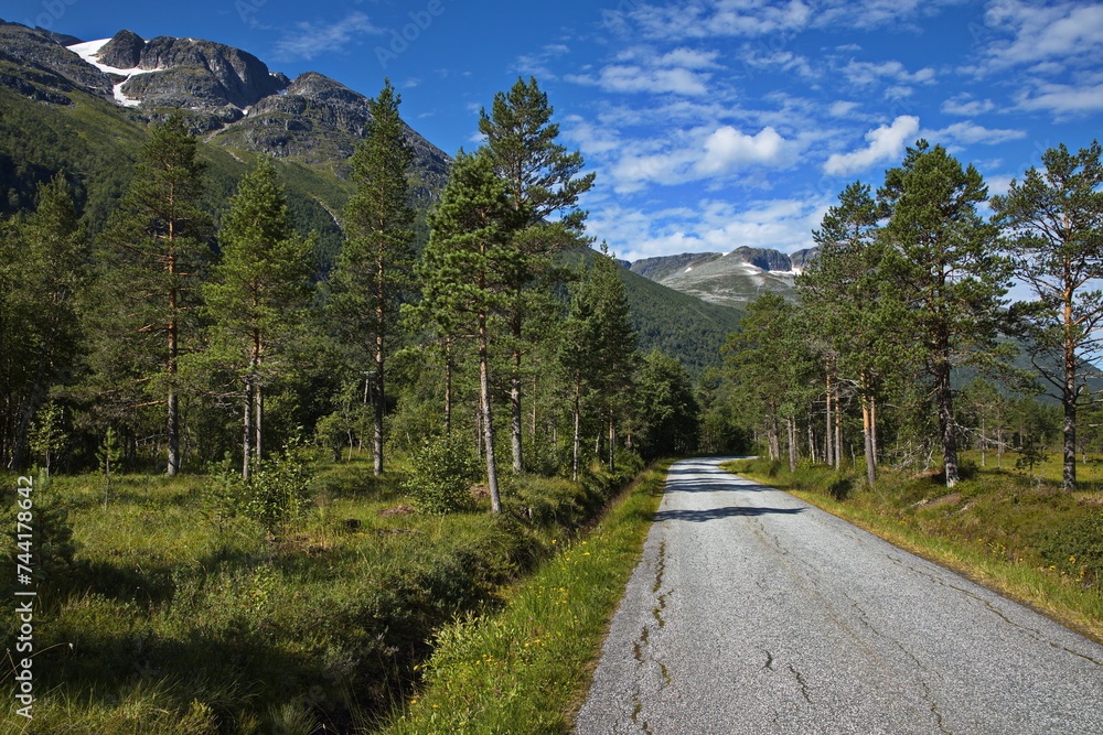 Hiking track in Innerdalen valley, Norway, Europe
