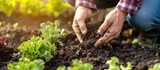 A person is digging in the dirt in a garden, adding compost to the vegetable garden soil.