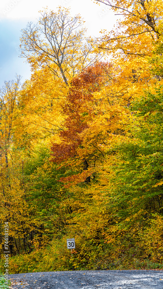 Mauricie, Canada - Oct 08 2022: Picture show the view in the Mauricie national park in colorful autumn Mauricie, Canada - Oct 08 2022: Picture show the view in the Mauricie national park in colorful autumn