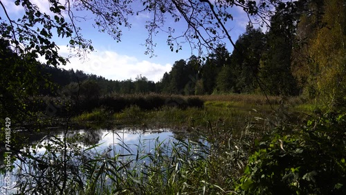 Krasna River in Podlasie .Wild vegetation by a small river on a sunny,autumn day. photo