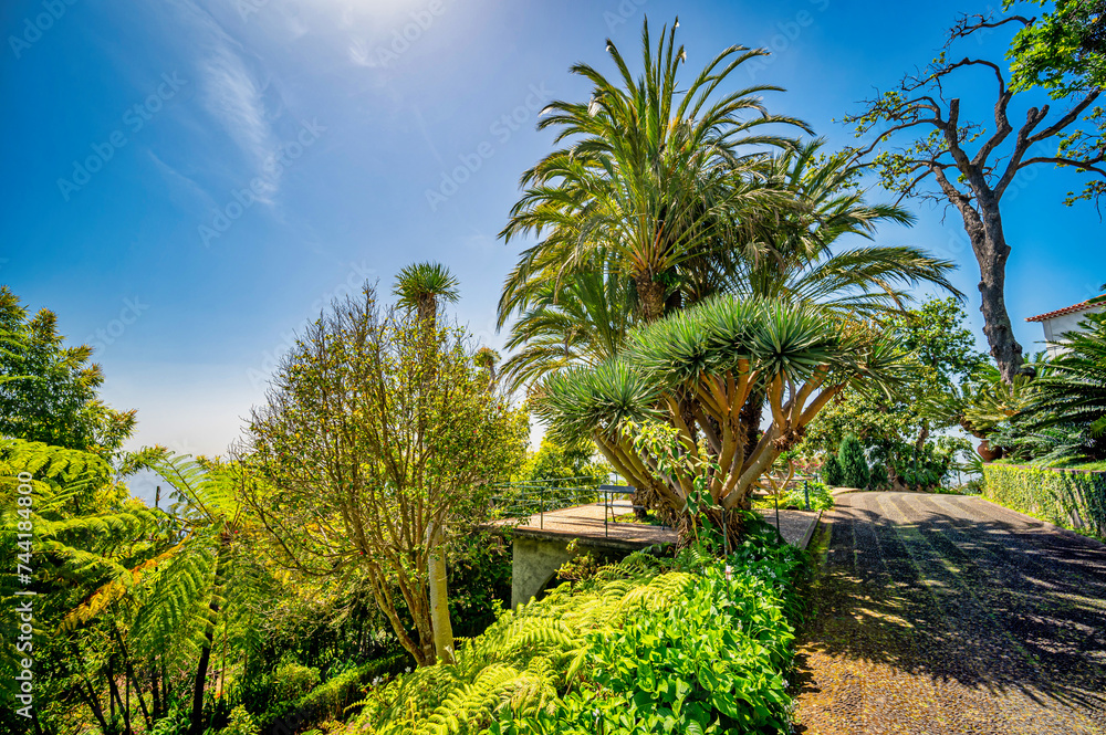 Obraz premium Botanic garden