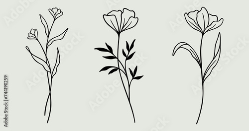 Flower Line Art Bundle   Botanical Wildflower Set Of 3   Floral Vector Illustrations