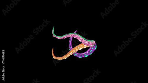 Animated tentacles showing dynamic and fluid movement, with multicolored tentacles.  Transparent 4K Alpha Channel.  Seamless loop. Perfect for movies, pattern, ornament, presentation.