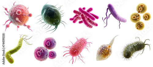 Bacteria, microbes and viruses collection isolated on white transparent background