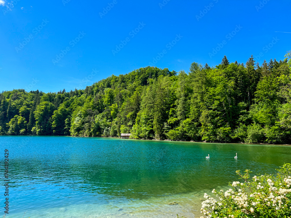 Germany, Füssen - 2022, May: Alpsee lake in Füssen 