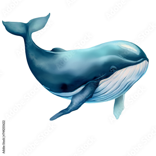  Illustration d'une Baleine - Style Aquarelle Réaliste - Fond Blanc - Généré par IA © Eliot