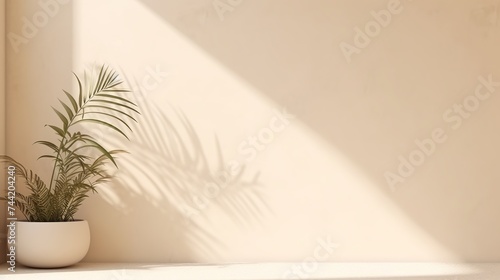 Minimalistic abstract gentle light beige background for product presentation with light andand intricate shadow from the window and vegetation on wall © Elchin Abilov