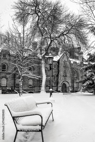 Snow on bench durring winter at University of Toronto photo