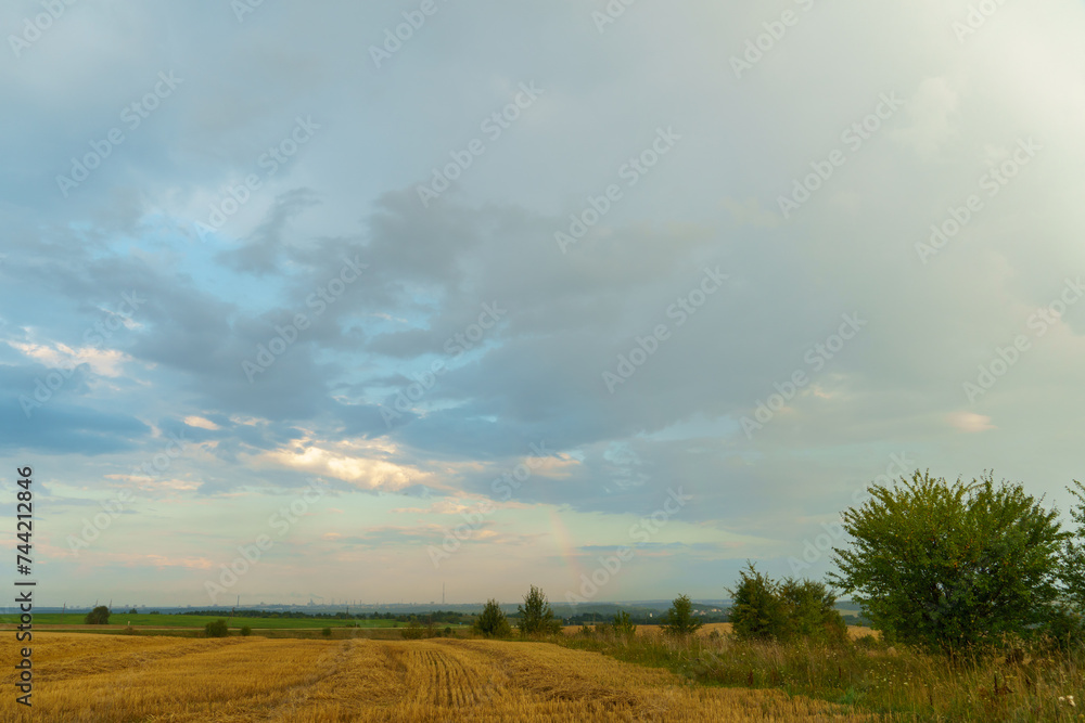 A beautiful rural field against a background of blue sky and clouds. Agro-industrial complex for the cultivation of cereals, wheat, legumes, barley, beans.