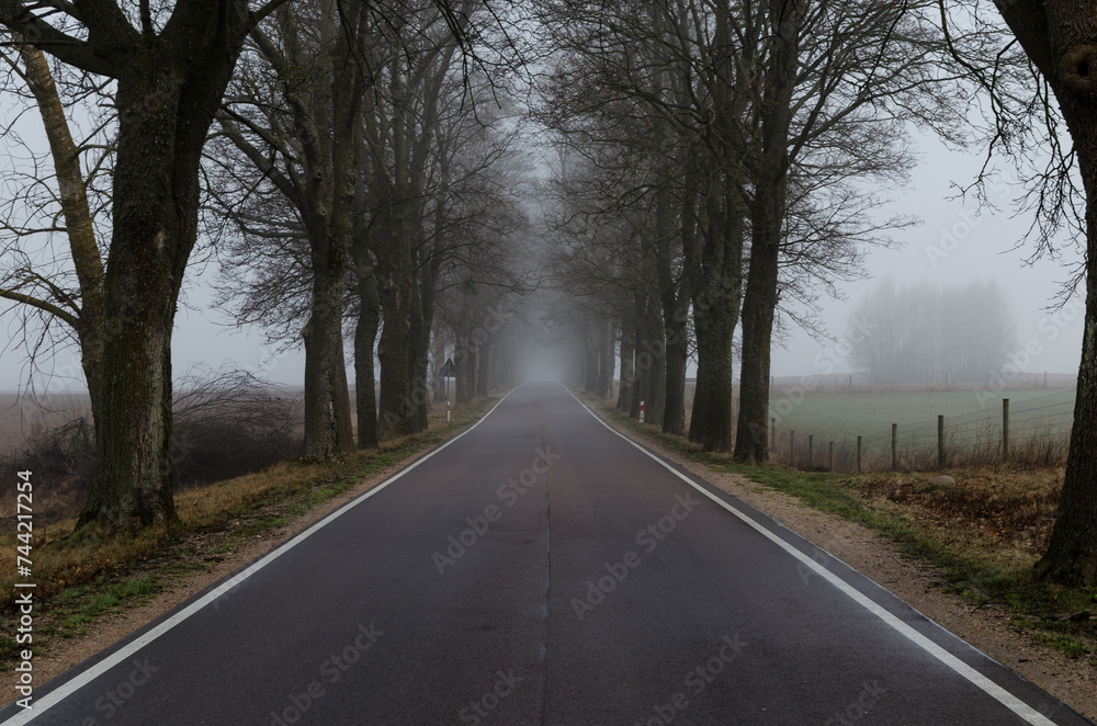 road in the fog