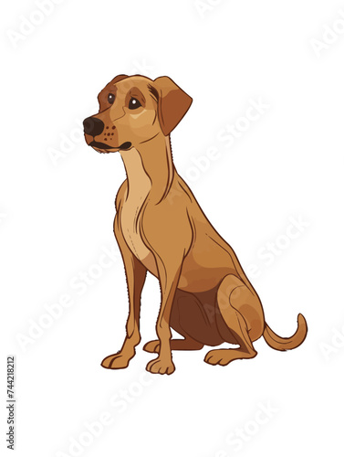 A vector image of a dog named Jeff. He is man s best friend.