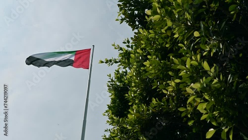 The UAE flag gracefully waves amidst lush green trees at the Abu Dhabi Corniche, embodying the concept of a green future in the United Arab Emirates photo