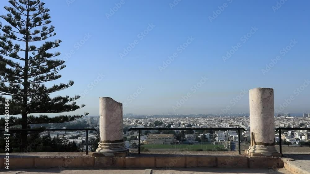 Pine tree and ancient Roman columns overlooking Carthage, Tunisia skyline, clear day Pine tree and ancient Roman columns overlooking Carthage, Tunisia skyline, clear day
