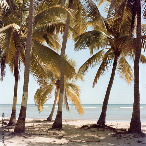 Tropical Beach Paradise with Lush Palm Trees and Tranquil Ocean