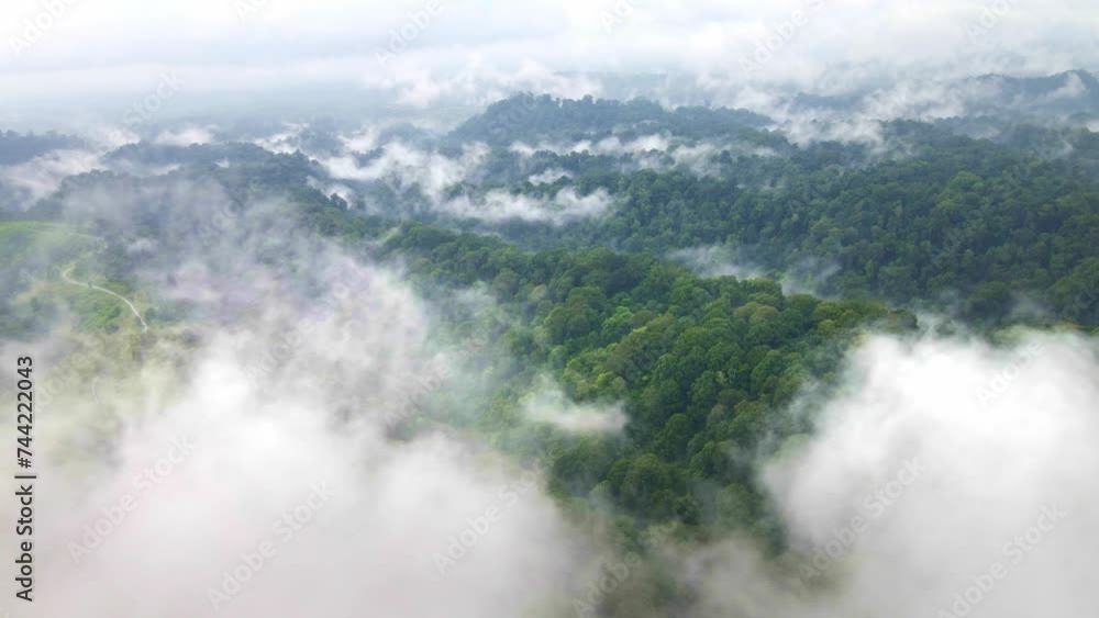 One of the world's top 10 largest rainforests, Indonesia rain forest, a biodiverse haven and vital carbon sink crucial for global climate stability. dynamic aerial 4k drone footage One of the world's top 10 largest rainforests, Indonesia rain forest, a biodiverse haven and vital carbon sink crucial for global climate stability. dynamic aerial 4k drone footage