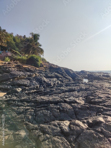 Whispers of Wilderness: Gokarna's Untamed Charm