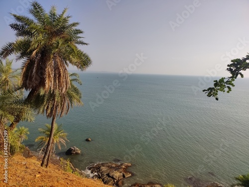 Whispers of Wilderness: Gokarna's Untamed Charm