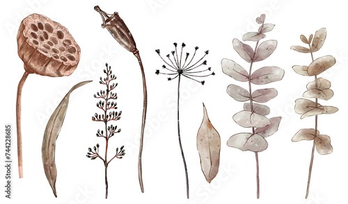 Watercolor set of greenery branches and dry lotus flowers in boho style. Hand painted illustration, isolated on white background.