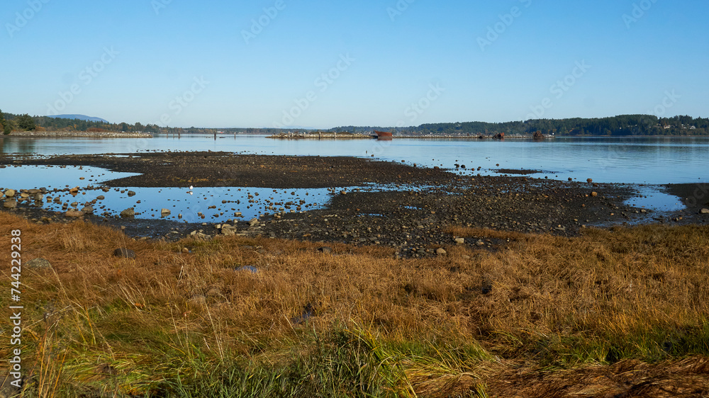Low tide with a dried grasses and a gravel beach looking towards a distant river estuary.sea