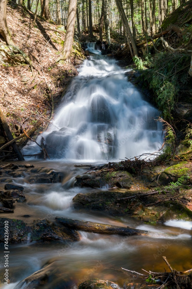 Vertical shot of a waterfall with long exposure in a forest