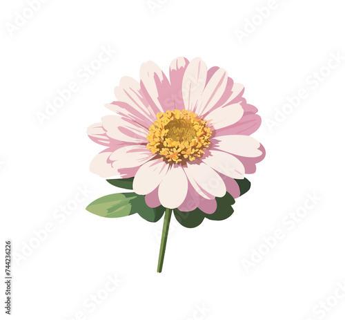 Vector of a pink gerbera flower on a white background