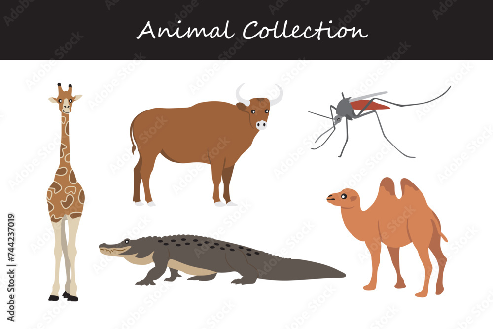 Animal collection. Cartoon style. Vector illustration isolated on white background. Animal collection. Cartoon style. Vector illustration isolated on white background.