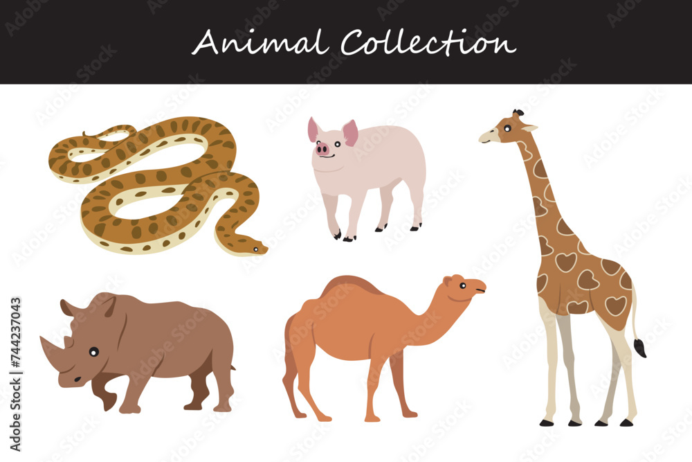 Animals collection. Vector illustration of a set of wild animals.