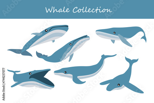 Whale vector illustration set. Cute cartoon whale in different poses.
