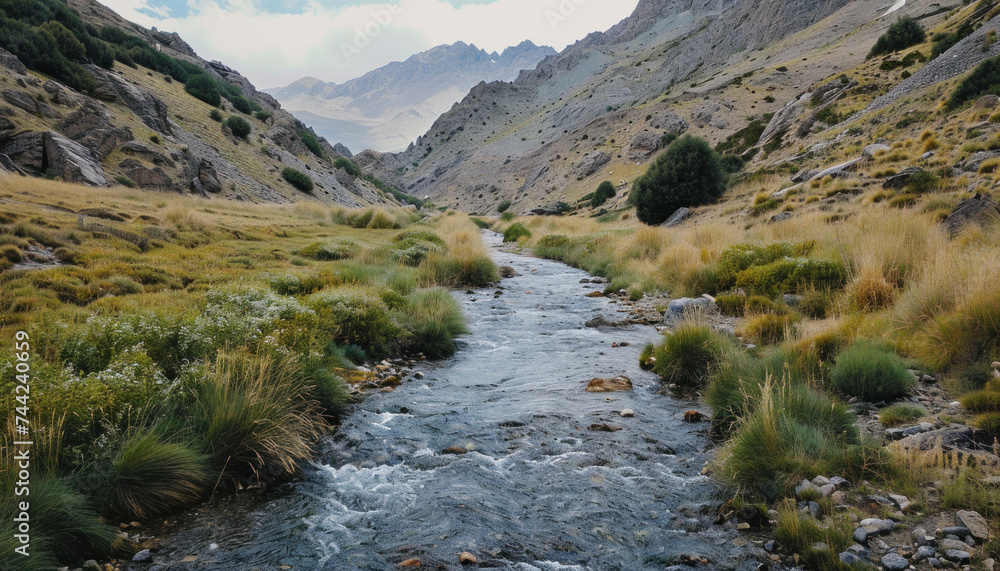 A tranquil river flows through a mountainous valley. A tranquil river flows through a mountainous valley.