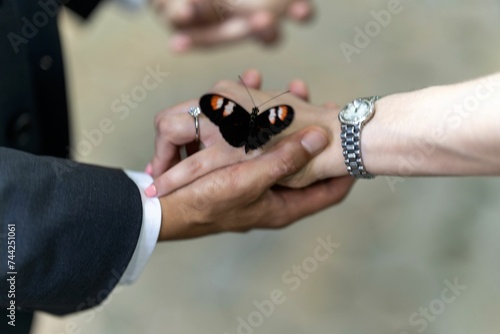 Couple interlocking hands in unity, with a butterfly on their hands