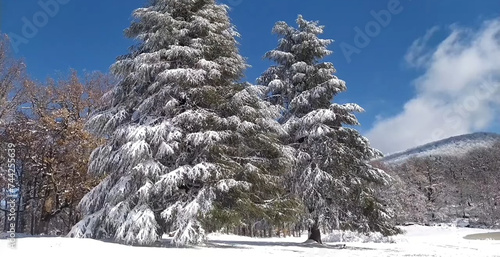 The Black Lake in Bejaia Province, Algeria
