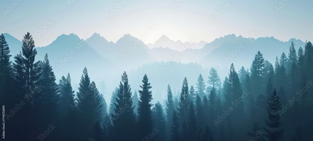 illustration of the pine trees forest receding into the distance on the background of light blue mountains in thick fog.