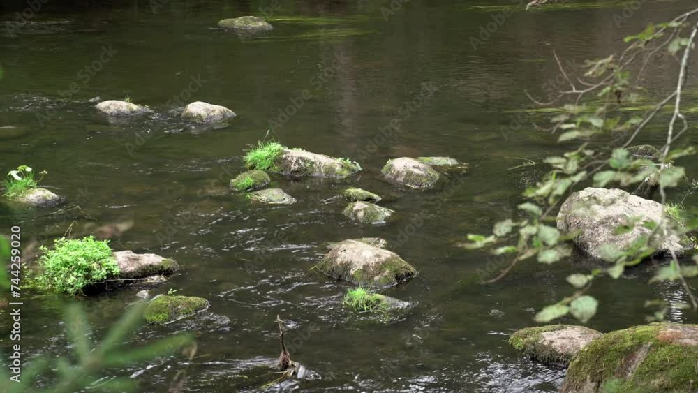 Stones in the flow of the Ahja River. Stones in the flow of the Ahja River.