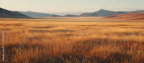 A dry and desolate grassy plain with towering mountains in the background.