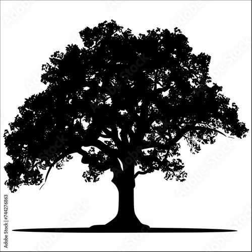 tree silhouette isolated on white