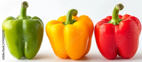 Fresh red, yellow, and green peppers with water droplets, organic vegetables concept