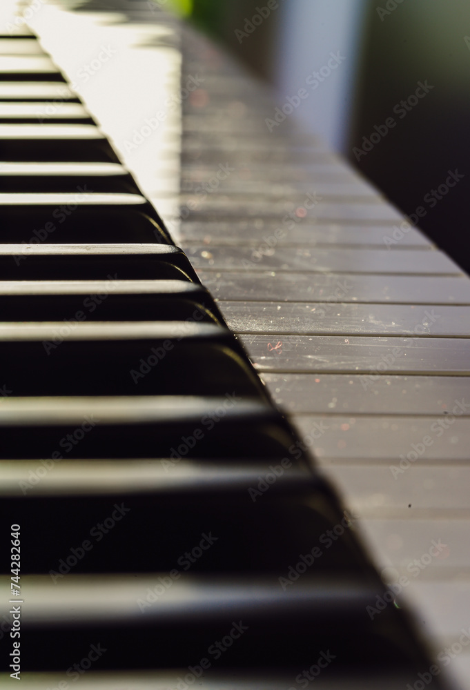 Side view of Piano keys with shallow depth of field. Classic grand piano keyboard background, Copy space, Selective focus. Side view of Piano keys with shallow depth of field. Classic grand piano keyboard background, Copy space, Selective focus.