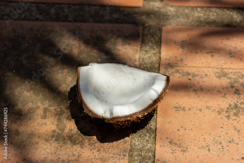 Coconut on the floor in the shade of the tree.