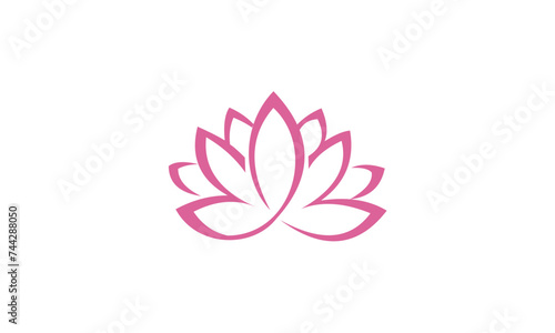 pink lotus flower