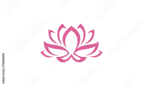 pink lotus flower