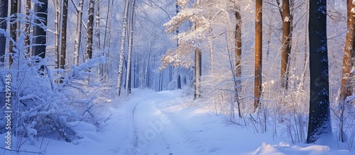 A snow-covered road winds through a forest blanketed in snow, creating a serene and wintery scene. Tall trees laden with snow stand on either side of the road, as fluffy snowflakes gently fall from © AkuAku