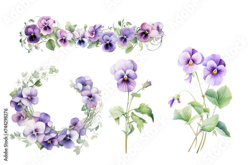 Watercolor Flowers  Violet  February Birth Flowers  Wreath  Garland  PNG  Transparent Background clipart