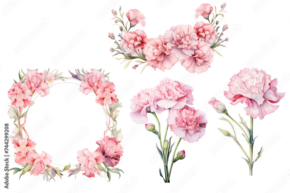 Watercolor Flowers, Carnation, January Birth Flowers, Wreath, Garland, PNG, Transparent Background clipart