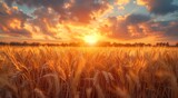 As the golden sun dips below the horizon, a vast field of wheat and barley stretches out before you, a bountiful harvest of cash crops and whole grains ready to nourish and sustain