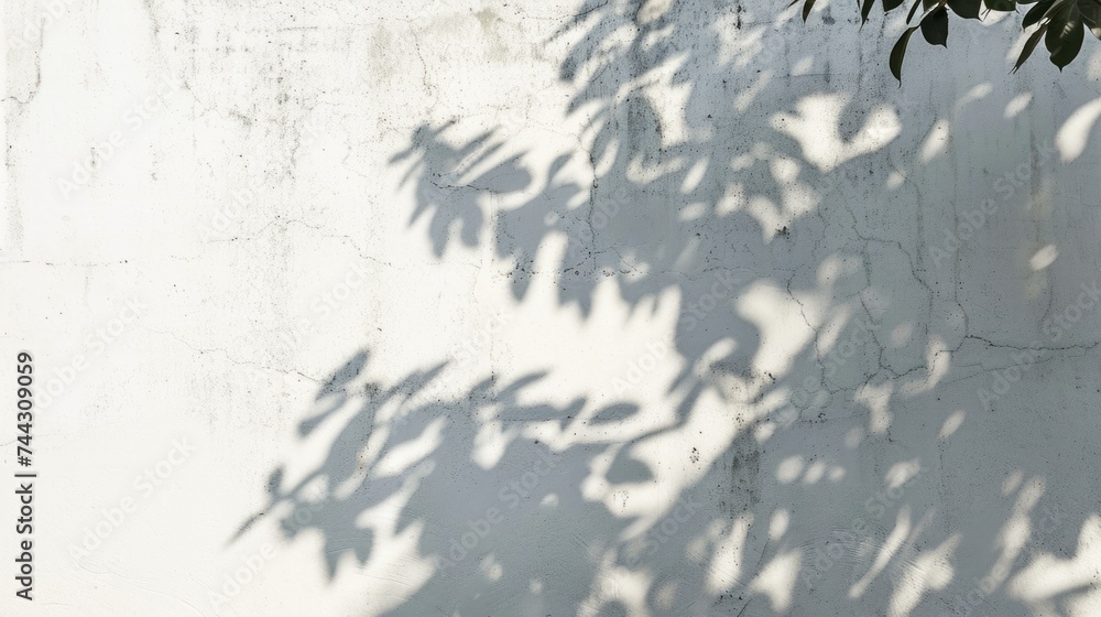 Tree Shadow Play on White Textured Wall. The playful dance of tree leaves' shadows cast upon a white textured wall, evoking a natural and tranquil scene. Tree Shadow Play on White Textured Wall. The playful dance of tree leaves' shadows cast upon a white textured wall, evoking a natural and tranquil scene.
