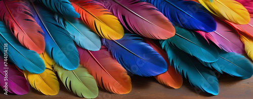 rainbow colored feathers_03 © Kunthana