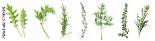 Collage of fresh herbs on white background, top view photo