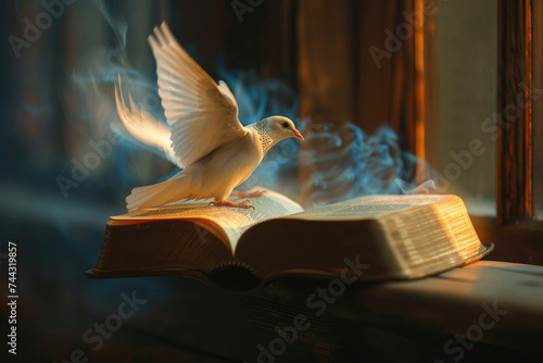 Holy Spirit over a Bible © Kien