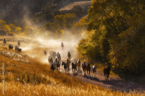 Cowgirls moving a herd of ranch horses on a dirt road in a canyon